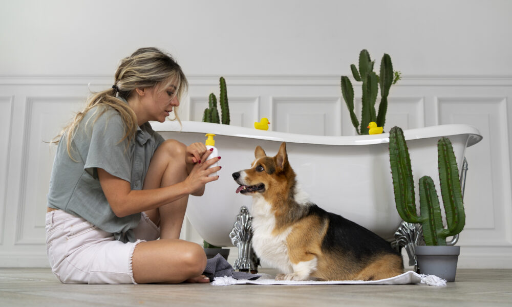 smart-grooming-at-home-–-how-technology-is-changing-pet-care-routines